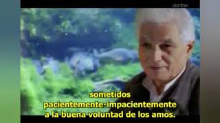 Por otra parte Derrida  película de Safaa Fathy [upl. by Narayan]