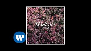 Wallows  Ground Official Audio [upl. by Ardnuaet]