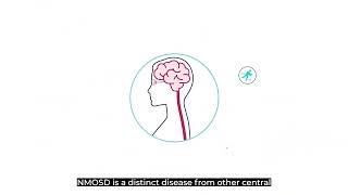 What is Neuromyelitis Optica Spectrum Disorder NMOSD [upl. by De]