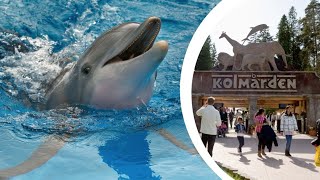 Kolmården Wildlife Park Part2 [upl. by Kirsten131]