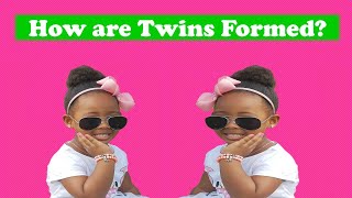 Twins How are twins formed [upl. by Ehcrop930]