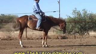 Horse Training Tip 1 Keep Your Horse From Dropping His Shoulder [upl. by Dichy]