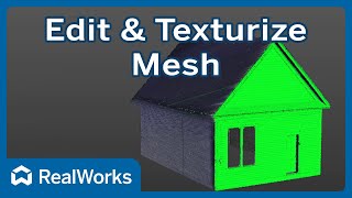 Texturize and Edit Meshes  Trimble RealWorks [upl. by Zampino]