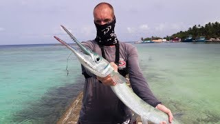 Caught A GIANT Needlefish Long Tom In The Maldives [upl. by Brittni]