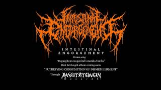 Intestinal Engorgement  Regurgitate Congenital Innards Chunks SINGLE [upl. by Nnylrahc]