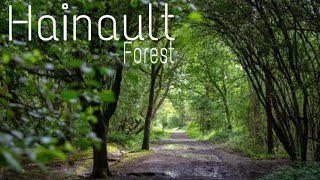 BEAUTIFUL Hainault forest LONDON natural voice satisfying relaxing walk video [upl. by Rhyner859]