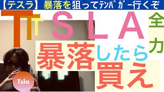 TSLAテスラ 株価暴落したら買え【全力】買い場を伝えよう。買い叩く時が近づいてきた [upl. by Anire697]