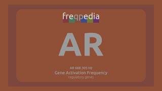 AR male sexuality Gene Activation Frequency [upl. by Aerdnaz]