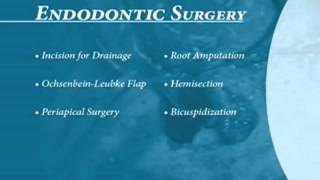 Endodontics Torabinejad 20 0 Endodontic Surgery Introduction [upl. by Ailat998]