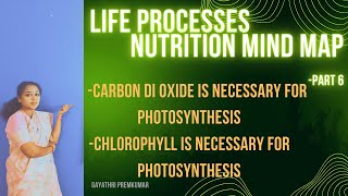 Life processesactivity lifeprocesses class10 biology cbse [upl. by Ydnyc]