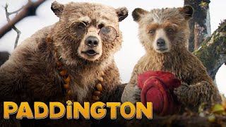 Paddington Full Movie Fact in Hindi  Hollywood Movie Story  Ben Whishaw  Hugh Bonneville [upl. by Leatri]