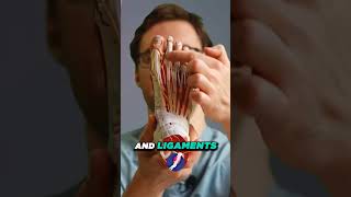 What is a hammer toe Hammer toe symptoms hammer toe causes [upl. by God]