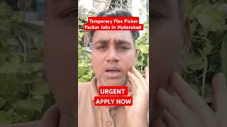 Temporary Flex Picker Packer Jobs In Hyderabad  Jobs In Hyderabad 🤩 shorts job hyderabadjobs [upl. by Winzler826]