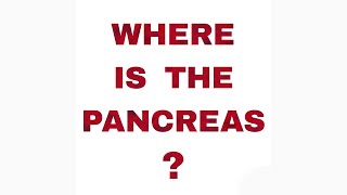 Where is the pancreas [upl. by Marden]