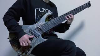 INTERVALS  STRING THEORY BASS COVER [upl. by Sihonn]