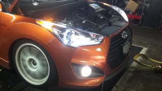 hyundai veloster turbo full bolt ons and tune dyno [upl. by Rehportsirhc]