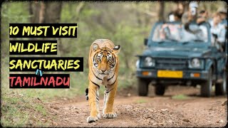 10 MUST VISIT WILDLIFE SANCTUARY amp NATIONAL PARKS IN TAMILNADU [upl. by Naira]