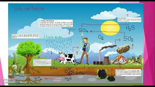 QUÉ SON LOS CICLOS BIOGEOQUÍMICOS [upl. by Akciret]