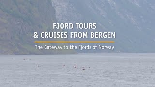 Fjord tours amp cruises in Bergen Norway [upl. by Burnside]