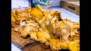 Four Things to Do with Costco Chanterelles  How to Prep Cook and Enjoy [upl. by Bellanca705]