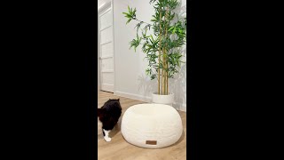 Quality  Affordable CADoS Pet Bed Range [upl. by Barbara]