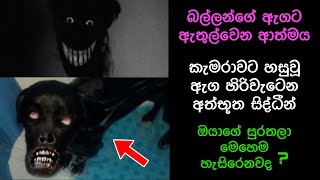 කැමරාවට හසුවූ හොල්මන් Part 20 Paranormal Activity kazzai holmanscience  Education [upl. by Nosrej947]