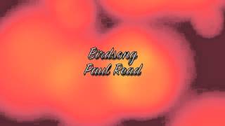 Birdsong  Paul Read [upl. by Enalahs]