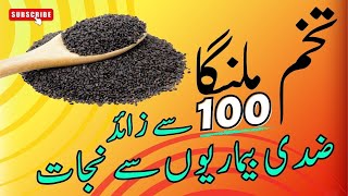 Tukham Malanga  Benefits amp How to Use Basil Seeds [upl. by Neumark259]