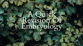 Embryology  A Quick Revision  Part 1  Malayalam  Embryology  BSc Botany Zoology Plant Science [upl. by Niamjneb]