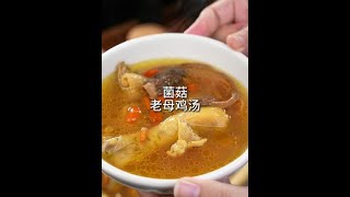 老母鸡汤 菌菇汤 为你煲汤 中国人硬核秋分养生食谱美好中国丰收季 [upl. by Jo Ann]