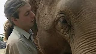 How Smart are Elephants  The Zoo Keepers  BBC Earth [upl. by Roon]