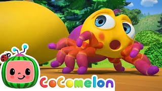 Itsy Bitsy Spider  CoComelon Nursery Rhymes amp Animal Songs [upl. by Elahcim900]