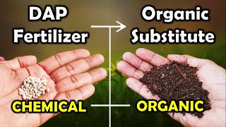 What is dap fertilizer DAP [upl. by Ymmik396]