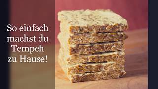 So einfach machst du Tempeh zu Hause Nährstoffreiche Proteinquelle ganz leicht selbstgemacht [upl. by Cesaria]