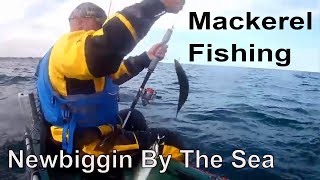 Mackerel Fishing Off Newbiggin Northumberland 24072020 [upl. by Noret]