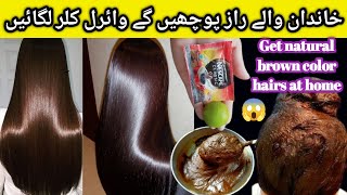 100 Effective coffee henna hair mask  Dye hair naturally a shiny brown color from the first use [upl. by Ahsinyd]