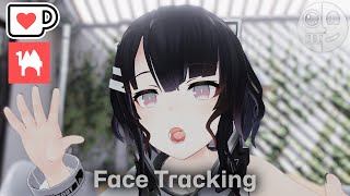 リーバReeva  Face Tracking Addon [upl. by Larochelle339]