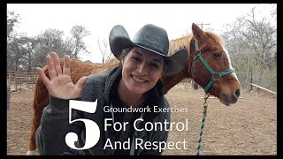 5 basic Groundwork Exercises for Respect and Control of the entire horse [upl. by Greenberg]