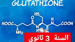 مرض فقر الدم الانحلاليموت الخلايا المبرمج السنة 3 ثانوي [upl. by Rochella]