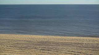 EEOR  East Hampton NY Main Beach Surf and Weather Webcam [upl. by Lalaj]