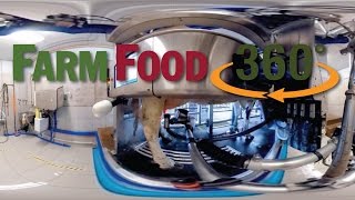 FarmFood360°  Voluntary Milking System Dairy Farm [upl. by Diogenes996]