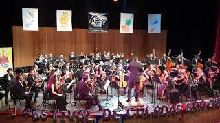 Dvorak Symphony 8 4th Mov [upl. by Nnylatsyrc]