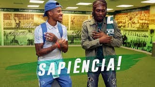 RINCON SAPIÊNCIA REAGE À VITÓRIA DO PALMEIRAS [upl. by Neleb312]