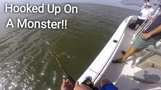 Inshore Fishing Edisto Island SC Hooked Up On Something HUGE [upl. by Uy]