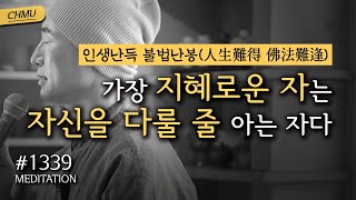 ☯ 1339일 수행  가장 지혜로운 자는 자신을 다룰 줄 아는 자다 ✔인생난득 불법난봉人生難得 佛法難逢  절운동  좌선amp확언명상필사Day81 ▶CH Meditation [upl. by Higinbotham]