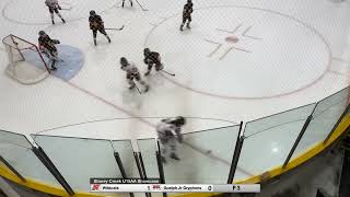 20240921 vs Guelph Jr Gryphons 3rd period [upl. by Aurelie]