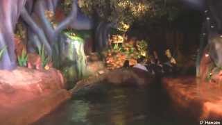 ♥♥ Splash Mountain at Walt Disney World in HD [upl. by Ajiat]