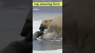 Top Amazing Facts about Animals 👌  interesting facts video  MRINDIANHACKER shorts facts [upl. by Hamilah]