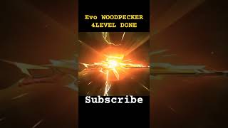 EVO WOODPECKER 4LEVEL DONE [upl. by Danny]