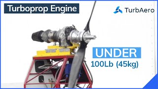 TurbAero TA120TP 120hp Turboprop engine [upl. by Niwled208]